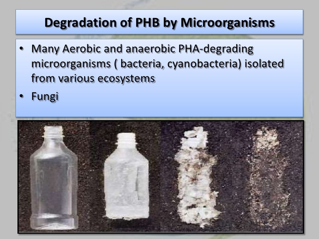 Bio plastic from bacteria.