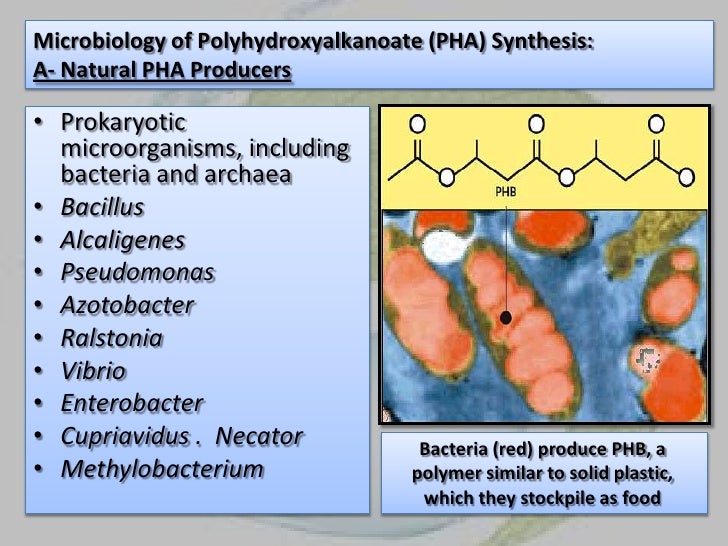 Bio plastic from bacteria.