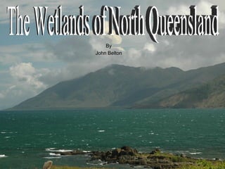 By John Belton The Wetlands of North Queensland 