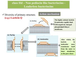 Bio preservation of Meat and Meat products | PPTX
