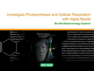 Investigate Photosynthesis and Cellular Respiration
with Algae Beads
Bio-Rad Biotechnology Explorer
 