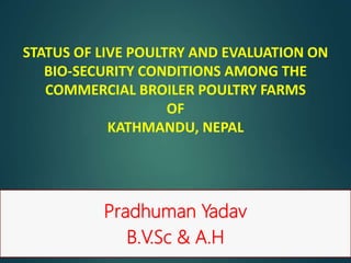 STATUS OF LIVE POULTRY AND EVALUATION ON
BIO-SECURITY CONDITIONS AMONG THE
COMMERCIAL BROILER POULTRY FARMS
OF
KATHMANDU, NEPAL
Pradhuman Yadav
B.V.Sc & A.H
 