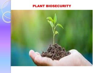 PLANT BIOSECURITY
 