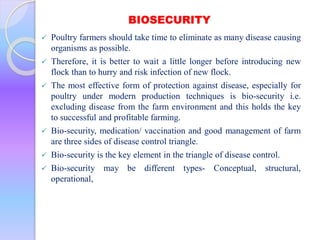 BIOSECURITY
 Poultry farmers should take time to eliminate as many disease causing
organisms as possible.
 Therefore, it is better to wait a little longer before introducing new
flock than to hurry and risk infection of new flock.
 The most effective form of protection against disease, especially for
poultry under modern production techniques is bio-security i.e.
excluding disease from the farm environment and this holds the key
to successful and profitable farming.
 Bio-security, medication/ vaccination and good management of farm
are three sides of disease control triangle.
 Bio-security is the key element in the triangle of disease control.
 Bio-security may be different types- Conceptual, structural,
operational,
 