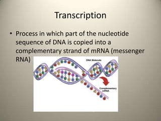 Transcription
• Process in which part of the nucleotide
sequence of DNA is copied into a
complementary strand of mRNA (messenger
RNA)

 