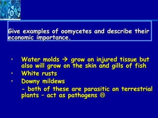 Give examples of oomycetes and describe their
economic importance.


•   Water molds  grow on injured tissue but
    also will grow on the skin and gills of fish
•   White rusts
•   Downy mildews
    - both of these are parasitic on terrestrial
    plants – act as pathogens 
 