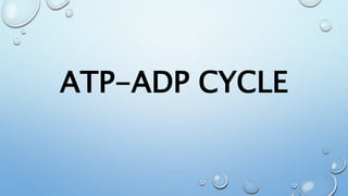 General Biology Q2- Module 1 ATP and ADP | PPTX | Chemistry | Science