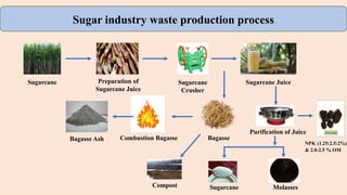 Biowaste Management and Its Utilization in Crop Production.pptx