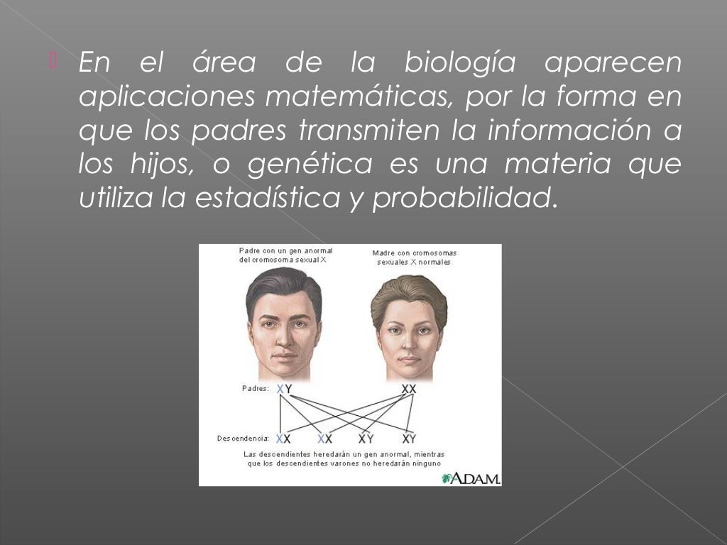 relacion de las matematicas con la biologia y la quimica