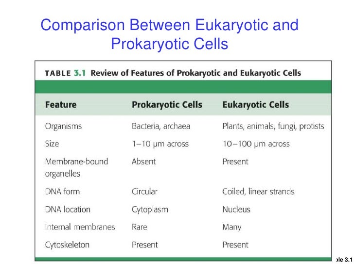 Bio003 part1 cell and dna