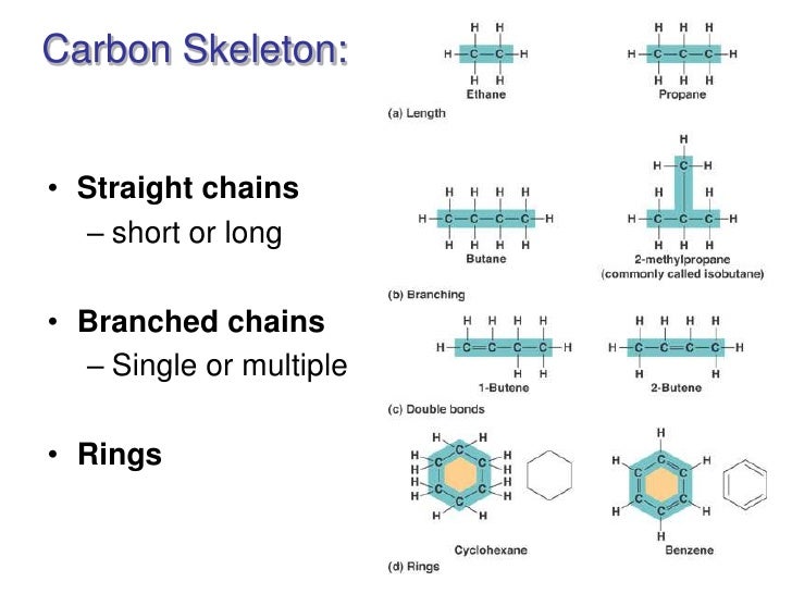 Bio003 part1 cell and dna