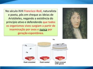 No século XVII Francisco Redi, naturalista
e poeta, pôs em cheque as ideias de
Aristóteles, negando a existência do
princípio ativo e defendendo que todos
os organismos vivos surgiam a partir de
inseminação por ovos e nunca por
geração espontânea.
 