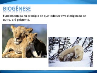 Fundamentada no princípio de que todo ser vivo é originado de
outro, pré-existente.
 