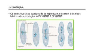 Reprodução:
 Os seres vivos são capazes de se reproduzir, e existem dois tipos
básicos de reprodução: ASSEXUADA E SEXUADA.
 
