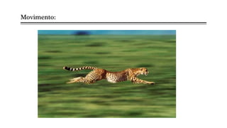Movimento:
 