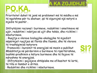 Prioritetet duhet të jenë në problemet më të mëdha e më
të ngutshme për tu zbatuar, që të sigurojnë një natyrë e
mjedis të pastër .
Shfrytëzimi racional i burimeve, reduktimi i emetimeve në
ajër, reduktimi i ndotjes së ujit dhe tokës, dhe riciklimi i
mbeturinave.
.· Ruajtja e vlerave biologjike-ekologjike të mjedisit
nëpërmjet ruajtjes së florës dhe faunës, dhe të vlerave
të trashëgimisë natyrore
· Promovimi i kursimit të energjisë në mesin e publikut
Mbështetja në përdorimin e burimeve të ripërtërishme,
bashkë-prodhimin e këtyre burimeve dhe të llojeve të
ndryshme të energjisë.
· Shfrytëzimi i pajisjeve shtëpiake me efikasitet të lartë,
të tilla si llambat e dritës.
· Reduktimi dhe riciklimi i mbeturinave.
 