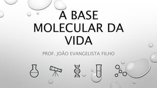 A BASE
MOLECULAR DA
VIDA
PROF. JOÃO EVANGELISTA FILHO
 