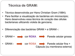 Técnica de GRAM:
• Técnica desenvolvida por Hans Christian Gram (1884);
• Para facilitar a visualização de bactérias em microscópio;
Hans desenvolveu essa técnica de coração das células
bacterianas utilizando violeta de genciana;
• Diferenciação das bactérias GRAM + e GRAM -:
• GRAM + cor ROXA Parede celular grossa
• GRAN - cor ROSA Parede celular fina +
Cápsula (ou membrana externa)
 