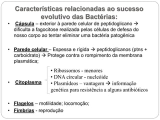 • Cápsula – exterior à parede celular de peptidoglicano 
dificulta a fagocitose realizada pelas células de defesa do
nosso corpo ao tentar eliminar uma bactéria patogênica
• Parede celular – Espessa e rígida  peptidoglicanos (ptns +
carboidrato)  Protege contra o rompimento da membrana
plasmática;
• Citoplasma
• Flagelos – motilidade; locomoção;
• Fímbrias - reprodução
• Ribossomos - menores
• DNA circular - nucleóide
• Plasmídeos – vantagem  informação
genética para resistência a alguns antibióticos
Características relacionadas ao sucesso
evolutivo das Bactérias:
 