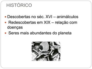 HISTÓRICO
 Descobertas no séc. XVI – animálculos
 Redescobertas em XIX – relação com
doenças
 Seres mais abundantes do planeta
 