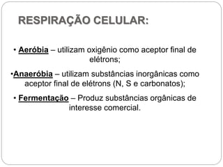 RESPIRAÇÃO CELULAR:
• Aeróbia – utilizam oxigênio como aceptor final de
elétrons;
•Anaeróbia – utilizam substâncias inorgânicas como
aceptor final de elétrons (N, S e carbonatos);
• Fermentação – Produz substâncias orgânicas de
interesse comercial.
 