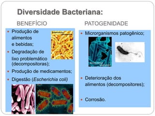BENEFÍCIO PATOGENIDADE
 Produção de
alimentos
e bebidas;
 Degradação de
lixo problemático
(decompositoras);
 Produção de medicamentos;
 Digestão (Escherichia coli)
 Microrganismos patogênico;
 Deterioração dos
alimentos (decompositores);
 Corrosão.
Diversidade Bacteriana:
 