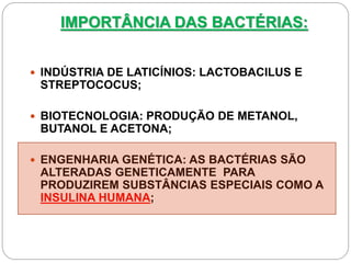 IMPORTÂNCIA DAS BACTÉRIAS:
 INDÚSTRIA DE LATICÍNIOS: LACTOBACILUS E
STREPTOCOCUS;
 BIOTECNOLOGIA: PRODUÇÃO DE METANOL,
BUTANOL E ACETONA;
 ENGENHARIA GENÉTICA: AS BACTÉRIAS SÃO
ALTERADAS GENETICAMENTE PARA
PRODUZIREM SUBSTÂNCIAS ESPECIAIS COMO A
INSULINA HUMANA;
 