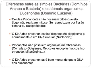  Células Procariontes não possuem citoesqueleto
(logo, não realizam mitose. Se reproduzem por fissão
binária ou cissiparidade);
 O DNA dos procariontes fica disperso no citoplasma e
normalmente é um DNA circular (Nucleóide);
 Procariotos não possuem organelas membranosas
(Complexo Golgiense, Retículos endoplasmáticos liso
e rugoso, Mitocôndria...);
 O DNA dos procariontes é bem menor do que o DNA
dos eucariontes.
Diferenças entre as simples Bactérias (Domínios
Archea e Bacteria) e os demais organismos
Eucariontes (Domínio Eukarya):
 