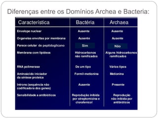 Diferenças entre os Domínios Archea e Bacteria:
de peptidoglicano Sim Não
 
