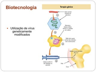 Biotecnologia
 Utilização de vírus
geneticamente
modificados
 