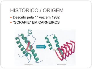HISTÓRICO / ORIGEM
 Descrito pela 1ª vez em 1982
 “SCRAPIE" EM CARNEIROS
 