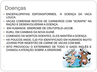 Doenças
 ENCEFALOPATIAS ESPONGIFORMES,  DOENÇA DA VACA
LOUCA.
 VACAS COMERAM RESTOS DE CARNEIROS COM "SCRAPIE" NA
RAÇÃO E DESENVOLVERAM A DOENÇA.
 EM HUMANOS: SÍNDROME DE CRUTZFELD-JACOB .
 KURU, EM CANIBAIS DA NOVA GUINÉ
 COMENDO OS MORTOS DOENTES, ELES MANTÉM A DOENÇA .
 HÁ POUCOS ANOS, CJD FOI IDENTIFICADO EM HUMANOS MUITO
JOVENS POR INGESTÃO DE CARNE DE VACAS COM BSE.
 ISTO PROVOCOU O EXTERMÍNIO DE TODO O GADO INGLÊS E
CHAMOU A ATENÇÃO SOBRE A SÍNDROME DA VACA LOUCA
.
 