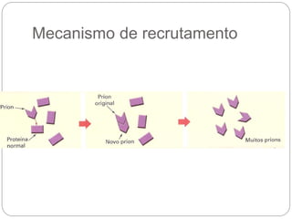Mecanismo de recrutamento
 