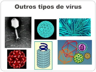 Outros tipos de vírus
 