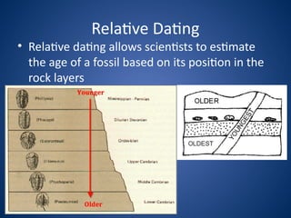 Relative Dating Virtual Lab Biology study of Evolution Basics general biology | PPTX