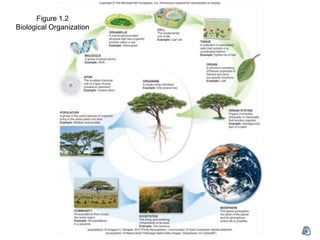 Bio 101 chapter 1- the scientific study of life part 1 narrated | PPTX