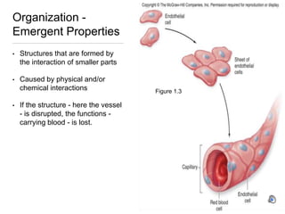 Bio 101 chapter 1- the scientific study of life part 1 narrated | PPTX