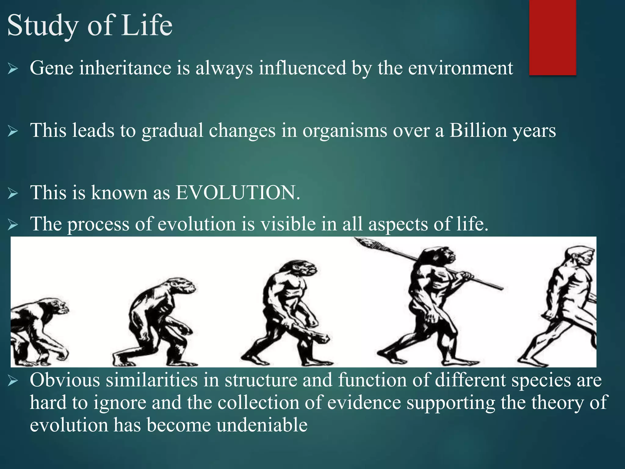 Study of Life
 Gene inheritance is always influenced by the environment
 This leads to gradual changes in organisms over a Billion years
 This is known as EVOLUTION.
 The process of evolution is visible in all aspects of life.
 Obvious similarities in structure and function of different species are
hard to ignore and the collection of evidence supporting the theory of
evolution has become undeniable
 