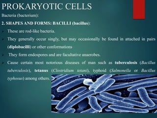 General Biology 1 (BIO 1O1) 1 | PPTX