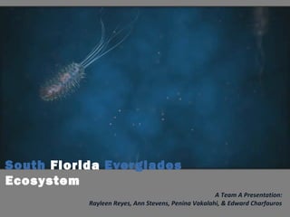 South Florida Everglades
Ecosystem
A Team A Presentation:
Rayleen Reyes, Ann Stevens, Penina Vakalahi, & Edward Charfauros
 