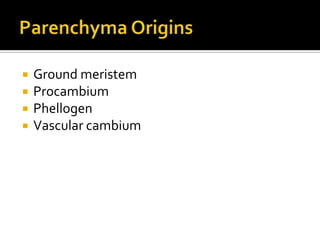 Parenchyma OriginsGround meristemProcambiumPhellogenVascular cambium