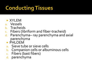 Conducting TissuesXYLEMVesselsTracheidsFibers (libriform and fiber-tracheid)Parenchyma– ray parenchyma and axial parenchymaPHLOEMSieve tube or sieve cellsCompanion cells or albuminous cellsFibers (bast fibers)parenchyma