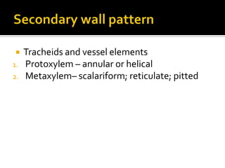 Secondary wall pattern Tracheids and vessel elementsProtoxylem – annular or helicalMetaxylem– scalariform; reticulate; pitted