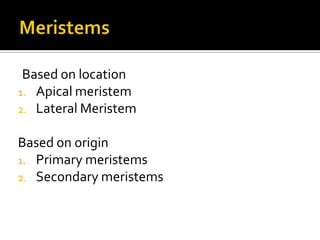 MeristemsBased on locationApical meristemLateral MeristemBased on originPrimary meristemsSecondary meristems
