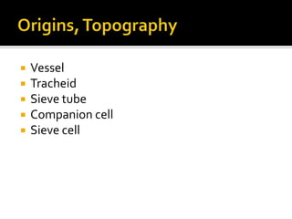 Origins, TopographyVesselTracheidSieve tubeCompanion cellSieve cell