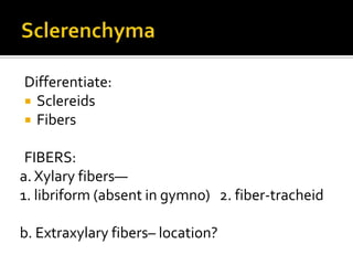 SclerenchymaDifferentiate:SclereidsFibersFIBERS:a. Xylaryfibers—1. libriform(absent in gymno)   2. fiber-tracheidb. Extraxylaryfibers– location?