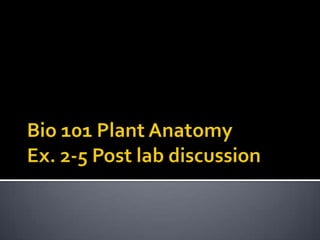 Bio 101 Plant AnatomyEx. 2-5 Post lab discussion 