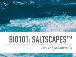 BIO101: SALTSCAPES™
Pool & Spa University
 