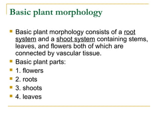 Bio102 chapter 25 (1) | PPT