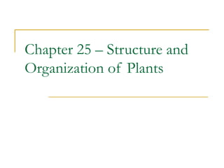 Chapter 25 – Structure and
Organization of Plants
 